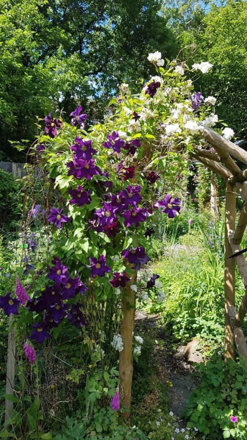 Yr Hen Farcdy Bed and Breakfast Talsarnau Buitenkant foto