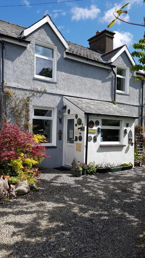 Yr Hen Farcdy Bed and Breakfast Talsarnau Buitenkant foto